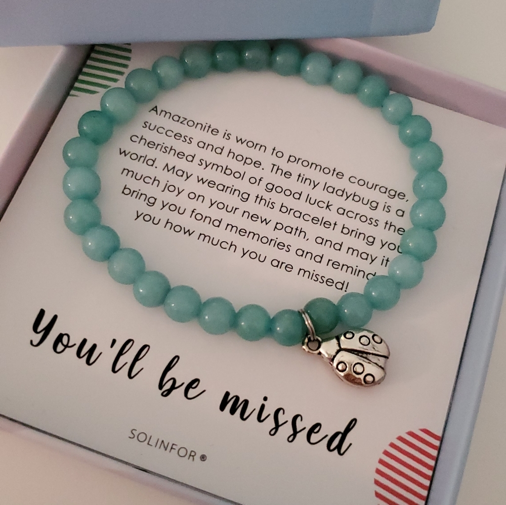 Solinfor teal ladybug charm bracelet